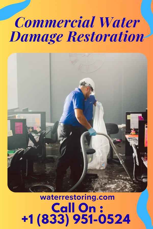 Commercial Water Damage Restoration in Hawkeye, IA