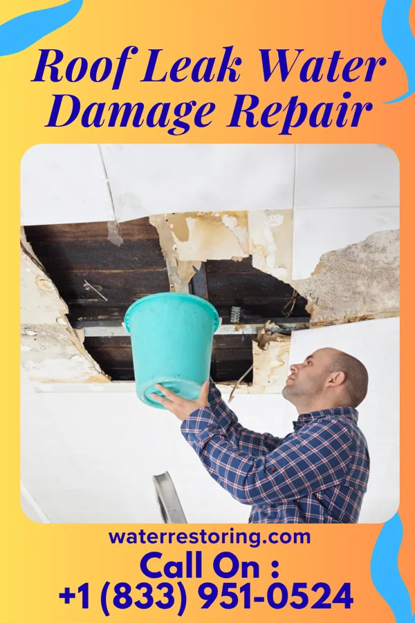 Roof Leak Water Damage Repair in Hawkeye, IA