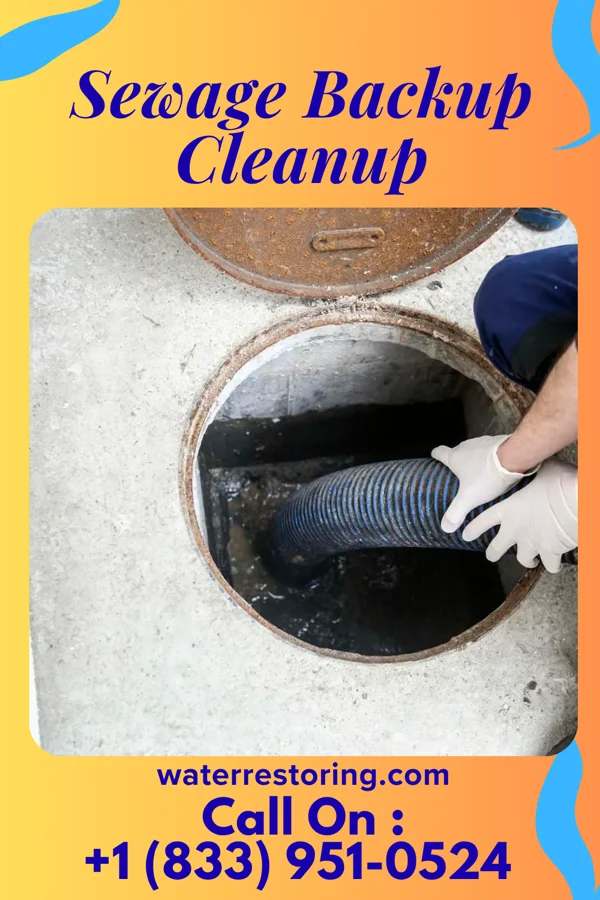 Sewage Backup Cleanup in Hawkeye, IA