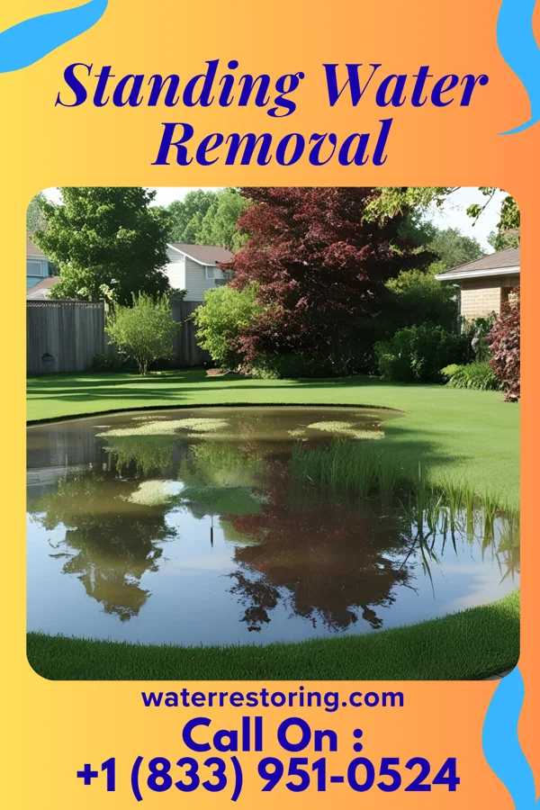 Standing Water Removal in Hawkeye, IA